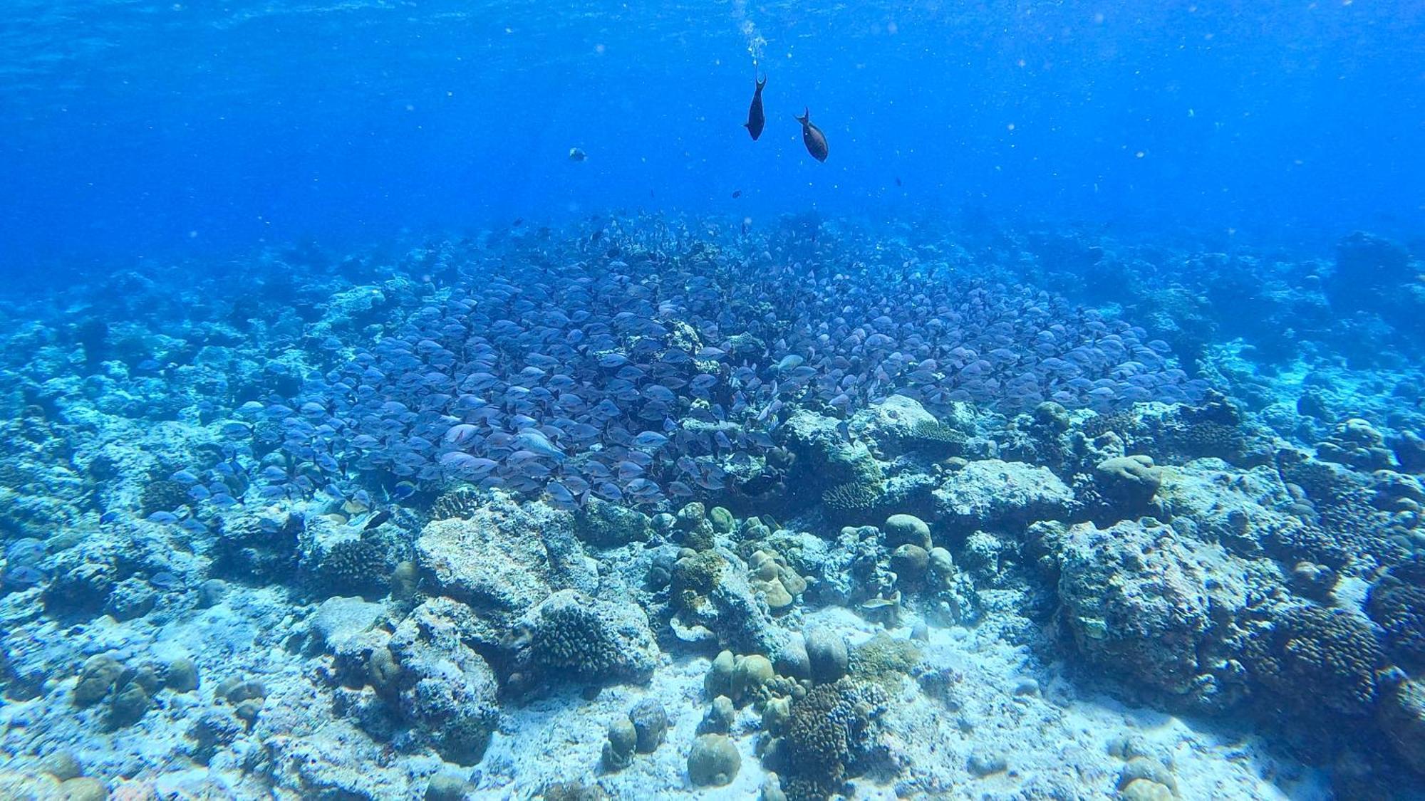 Hotel Konut By Thakuru Guraidhoo  Esterno foto