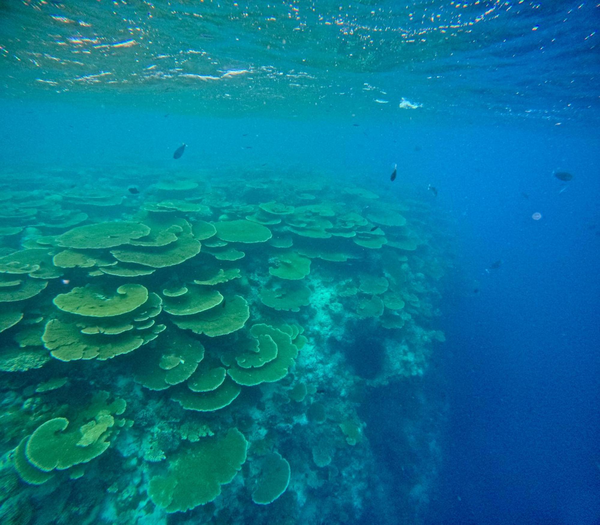 Hotel Konut By Thakuru Guraidhoo  Esterno foto